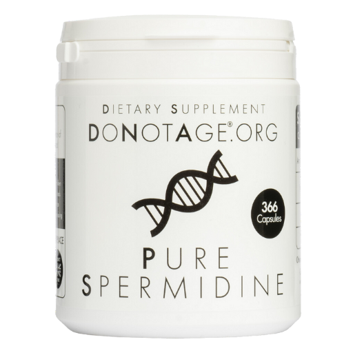 spermidine