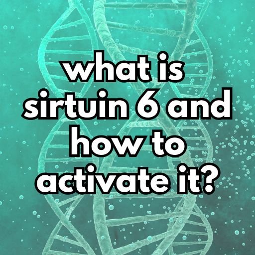 sirt6 activator