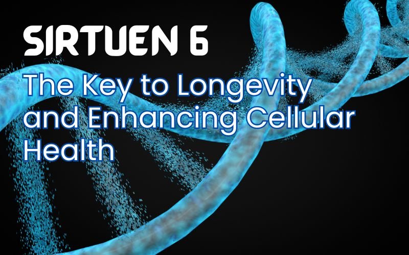 best longevity supplement